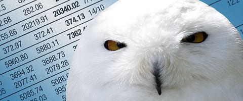 Talane’s Top 10 Tips to Attract Wealth