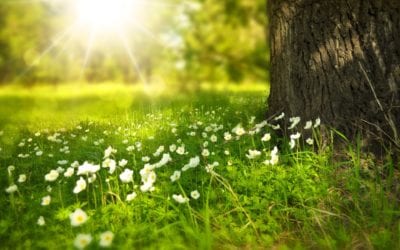 Life Coach Live with Talane May 1, 2020