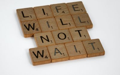 Attract the Life You Really Want with These 7 Steps