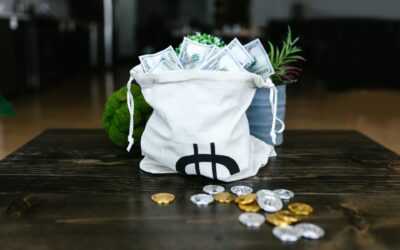 Money Magnetism: Master the Law of Attraction to Attain Financial Freedom