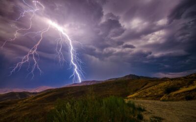 The Powers of Attraction: Harnessing Your Inner Magnetism
