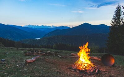 Life Coach Secrets to a Successful FIRE Plan