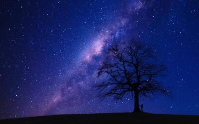 Cultivate an Abundance Mindset: 5 Shifts for Wealth and Happiness