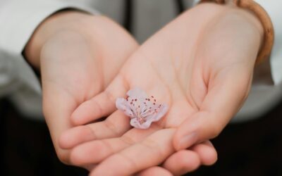 Compassion vs. Empathy in Conflict Resolution