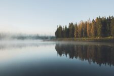 Starting Over at 60: My Phoenix Year of Healing, Freedom, and Fun