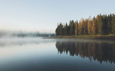 Starting Over at 60: My Phoenix Year of Healing, Freedom, and Fun