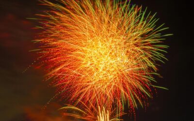 Maximum Joy FIRE: The Most Meaningful Path to Financial Independence