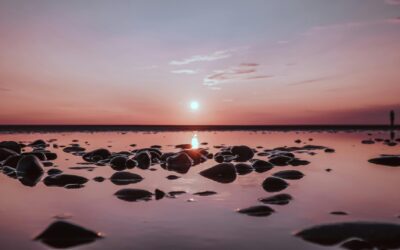The Law of Attraction Equation