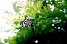 Attracting the Wrong People: Breaking the Pattern for Good