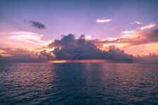 Micro-Joys: Tiny Happiness Habits to Transform Your Day