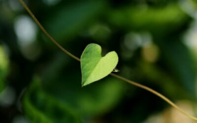 How Holding Onto Anger Cost Me My Compassion