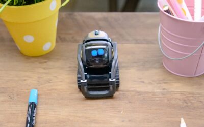 How to Future-Proof Your Career in the Age of AI